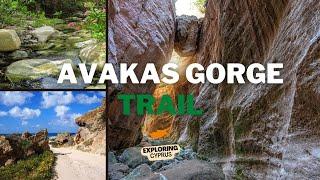 10 Facts about AVAKAS GORGE Natural Trail in Cyprus