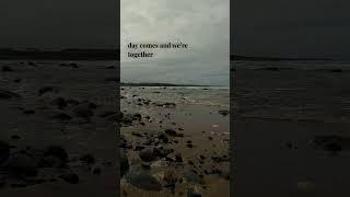 A Fallen Limb Grief Poem Fallen Limb Poem [Quotes, Poetry, Spokenword, Irish Narration]