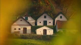 Kellergassen im Weinviertel