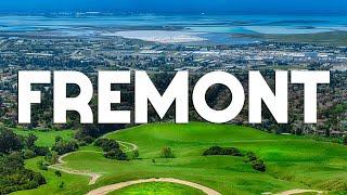 Top 10 Best Things to Do in Fremont, California - Travel Guide 2024