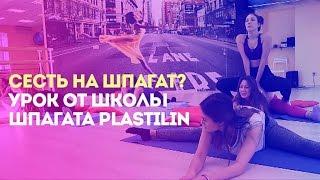 Сесть на шпагат? Урок от школы шпагата PLASTILIN