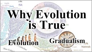 Why Evolution is True - Part 1: Introduction, Evolution & Gradualism