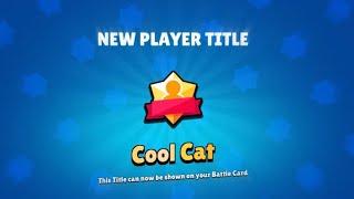 Bibi’s Mastery “Coolcat” 