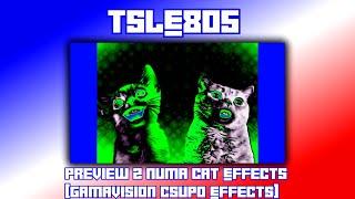 Preview 2 Numa Cat Effects [Gamavision Csupo Effects]