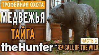 theHunter Call of the Wild #5  - Медвежья Тайга - Трофейная Охота (Часть 1)