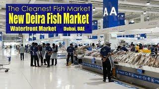 Dubai Fish Market|Deira Fish Market|Waterfront Market Fish Market|Cleanest Fish Market,  Dubai, UAE