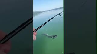 Explore the Art of Fishing #fishing
