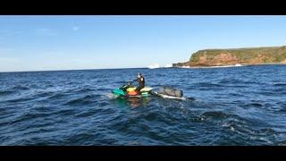 Remote JetSki Camping/Surfing/Fishing