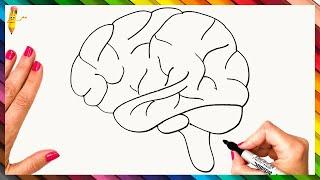 How To Draw The Human Brain Step By Step  Brain Drawing Easy