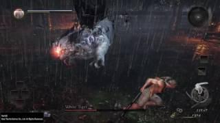 Nioh - White Tiger at Level 1 no Rolling, Dodging or Blocking