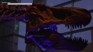 Science Museum of MN lights up the night with 'Illumination' exhibit