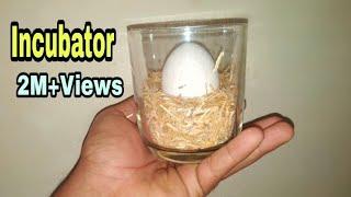 How To Make Egg incubator at Home without temperature controler || Egg Hatching Result 2020