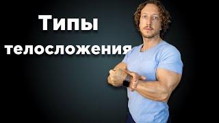 ТИПЫ ТЕЛОСЛОЖЕНИЯ. Стратегия питания и тренировок.