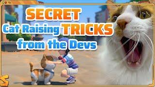 Secret Cat Raising Tricks From The Devs | My Time at Sandrock