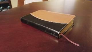 Zondervan NASB Thinline Bible in Italian Duo-Tone cover - Review