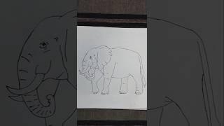 Easy Elephant Drawing For Kids #shorts #ytshorts #elephant #youtubeshorts #art #trending #drawing