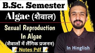 Sexual Reproduction In Algae || Reproduction In Algae || Bsc Semester || By Dadhich Sir