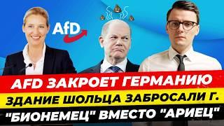 Главные новости 14.1: AfD закроет Германию, здание Шольца в г**не, кто такой “БИОнемец” Миша Бур