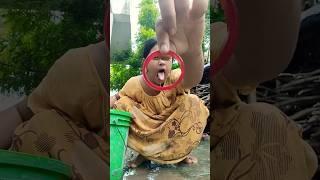 Survival skill: water purification in the wild#camping#survival#outdoors#bushcraft🫨#p575
