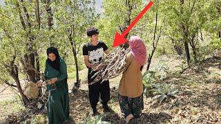"Whispers of Love: Zeinab and Reza's Romantic Journey in the Mountains"️