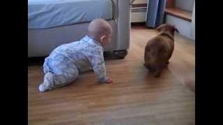 Colby Jax Crawling Forward for the First Time