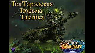 Тол'Гародская Тюрьма ТТГ ТАКТИКА. PainMoomoo Больмуму WOW Sirus SoulSeeker x1
