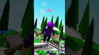3 Ways To Fly In Brookhaven! 