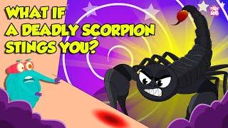 How Does Scorpion Sting? | Scorpion Venom Effects | Most Deadliest Scorpions | Dr. Binocs Show