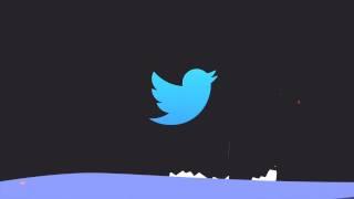 Twitter Logo Animation——Design by Zhang Fengjie