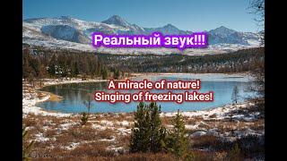 FANTASTIC SINGING OF LAKES‼️⠀Real sound‼️⠀