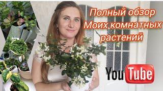 ПОЛНЫЙ ОБЗОР Моих комнатных растений. Вся КОЛЛЕКЦИЯ в одном видео.