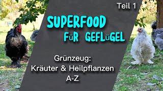 Superfood - Kräuter & Heilpflanzen A-Z