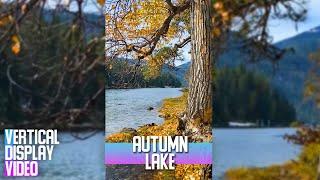 3 Hours of Calming Autumn Lake for Vertical Screens - 4K Fall Scenery & Relaxing Nature Sounds