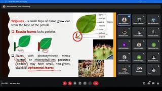 (LEC) Pharmaceutical Botany with Taxonomy - LEAF (11-25-21)