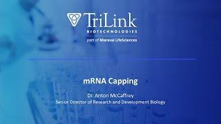 mRNA Capping