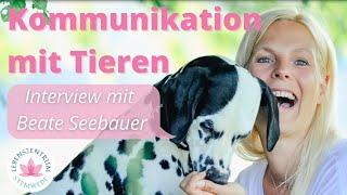 Interview mit Beate Seebauer: Tierkommunikation (Mai 2021)