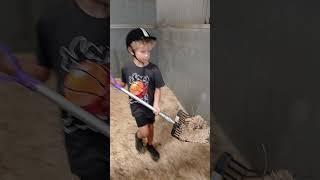 Working in the stables.