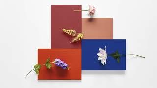 Alvic New Collections 2025 - ART COLLECTION