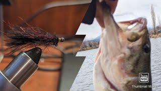 Ice Off  Fly fishing for Bass, Crappie and Perch!