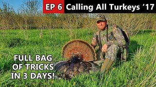 We Throw Everything At These Wisconsin Gobblers! - Calling All Turkeys