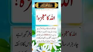 Miracle of Allah Almighty #ubqari #shorts #trending #youtubeshorts