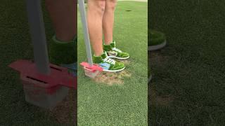 Lawn Repair With Drip
