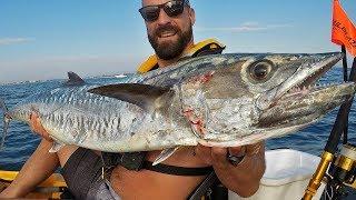 Offshore Kayak Fishing Charter | Delray Beach and Boynton Beach | King Mackerel