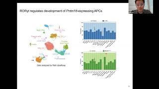 [Liuhui Fu] T PRDM16-dependent antigen-presenting cells induce tolerance to gut antigens