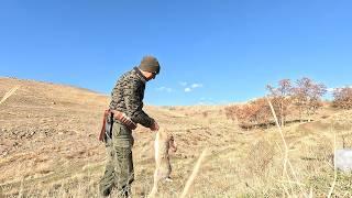 TAVŞANIN ÜZERİNE BASACAKTIM. UÇKUN KEKLİĞE ÖNLEME. TAVŞAN KEKLİK AVI охота на куропатку Chukar hunt