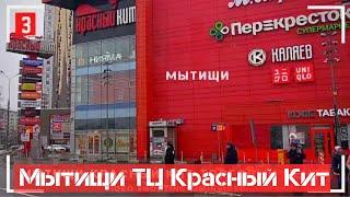 Мытищи Красный Кит Торговый Центр -3 SONY FDR-AXP55 4K Mytishchi shopping center 购物中心 쇼핑센터