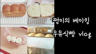 우유식빵 milk bread | 쩡이의베이킹 | JJ'S BAKING | 홈베이킹 브이로그 |HOMEBAKING VLOG |
