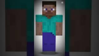 steve2
