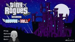2025.03.30 - Tiny Rogues