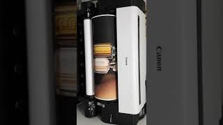 Canon iPF TX-3000 / printing on Backlit film 215 µm